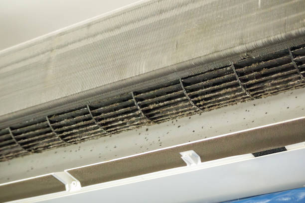 Best HVAC Air Duct Cleaning  in Myerstown, PA