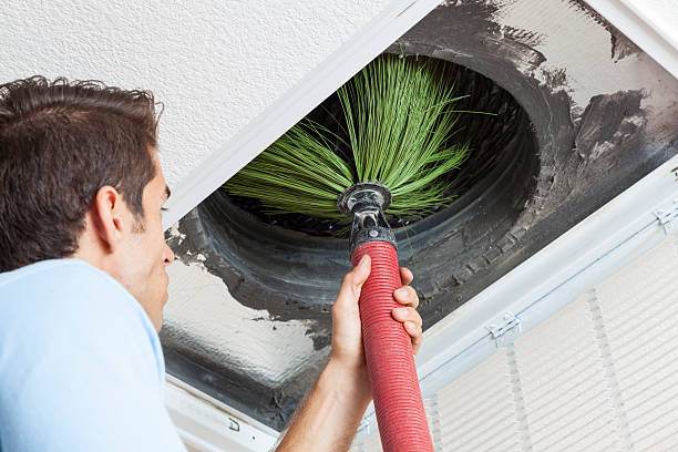 Air Duct Mold Removal in Myerstown, PA